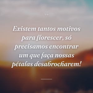 Existem tantos motivos para florescer, só precisamos encontrar um que faça nossas pétalas desabrocharem!