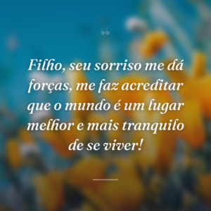 Filho, seu sorriso me dá forças, me faz acreditar que o mundo é um lugar melhor e mais tranquilo de se viver!