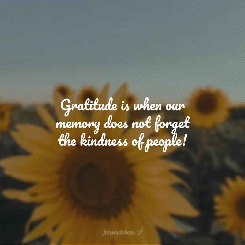 Gratitude is when our memory does not forget the kindness of people! (Gratidão é quando nossa memória não se esquece da bondade das pessoas!)