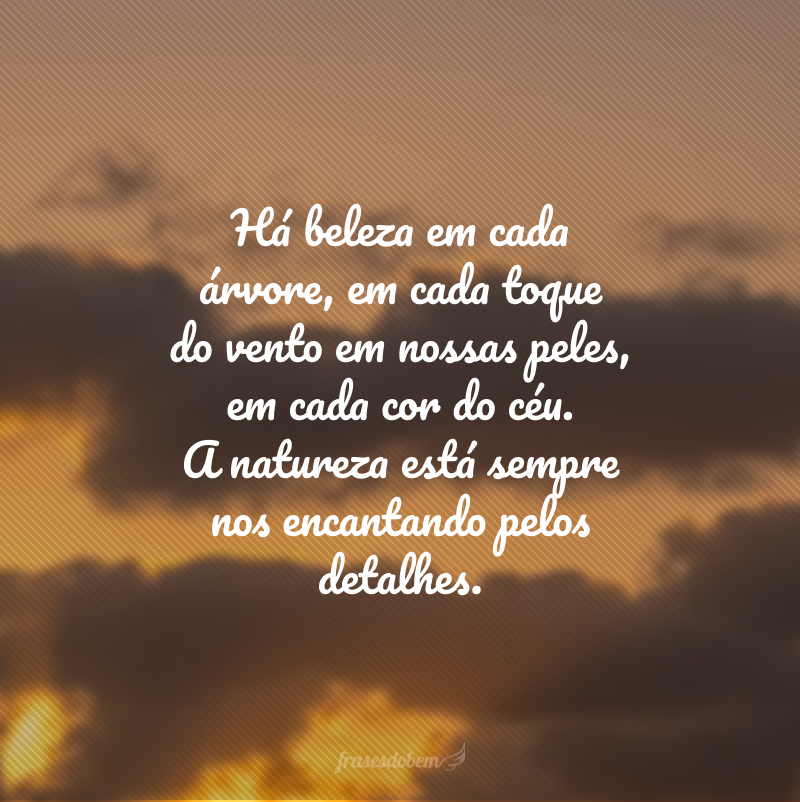 Há beleza em cada árvore, em cada toque do vento em nossas peles, em cada cor do céu. A natureza está sempre nos encantando pelos detalhes.