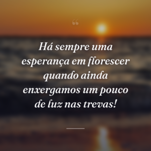 Há sempre uma esperança em florescer quando ainda enxergamos um pouco de luz nas trevas!