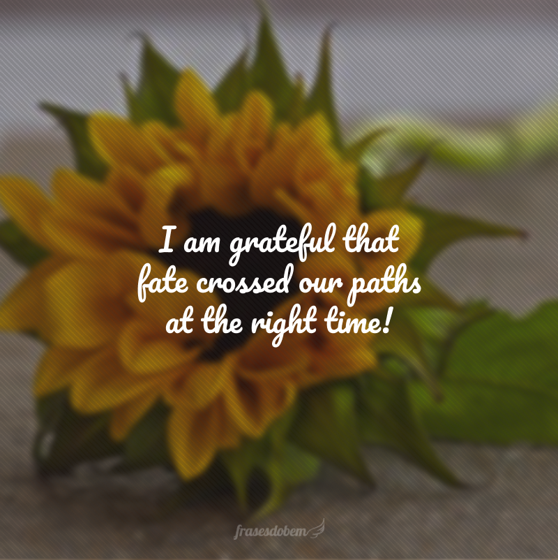 I am grateful that fate crossed our paths at the right time!  (I'm grateful that fate crossed our paths at the right time!)