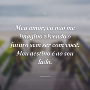 Meu amor, eu não me imagino vivendo o futuro sem ser com você. Meu destino é ao seu lado.