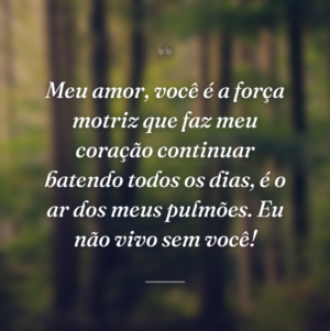 Meu amor, você é a força motriz que faz meu coração continuar batendo todos os dias, é o ar dos meus pulmões. Eu não vivo sem você!