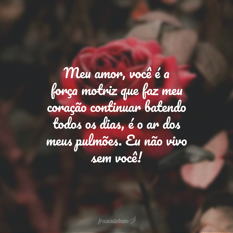 Meu amor, você é a força motriz que faz meu coração continuar batendo todos os dias, é o ar dos meus pulmões. Eu não vivo sem você! 