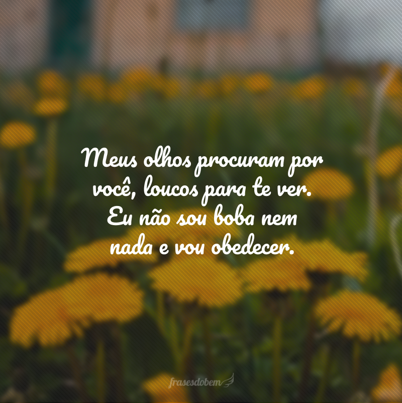 Meus olhos procuram por você, loucos para te ver. Eu não sou boba nem nada e vou obedecer.