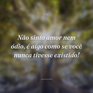 Não sinto amor nem ódio, é algo como se você nunca tivesse existido!