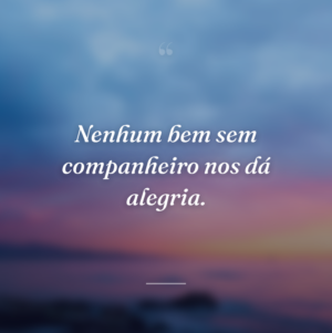 Nenhum bem sem companheiro nos dá alegria.