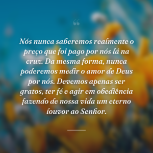Nós nunca saberemos realmente o preço que foi pago por nós lá na cruz. Da mesma forma, nunca poderemos medir o amor de Deus por nós. Devemos apenas ser gratos, ter fé e agir em obediência fazendo de nossa vida um eterno louvor ao Senhor.