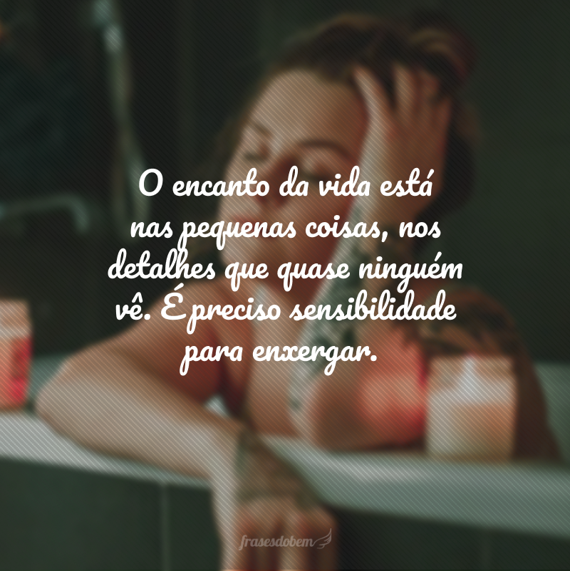 O encanto da vida está nas pequenas coisas, nos detalhes que quase ninguém vê. É preciso sensibilidade para enxergar.