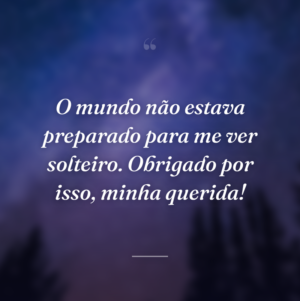 O mundo não estava preparado para me ver solteiro. Obrigado por isso, minha querida!