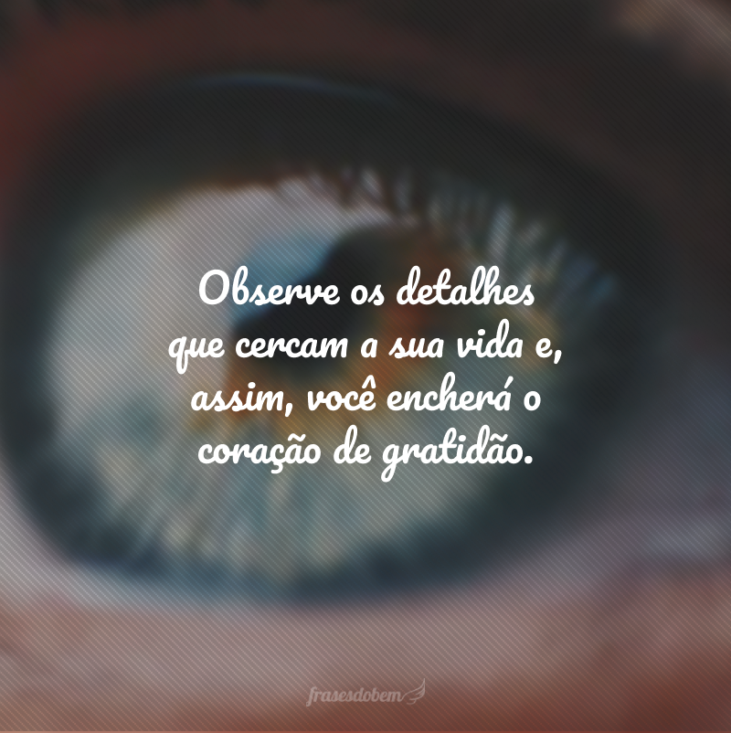 Observe os detalhes que cercam a sua vida e, assim, você encherá o coração de gratidão.