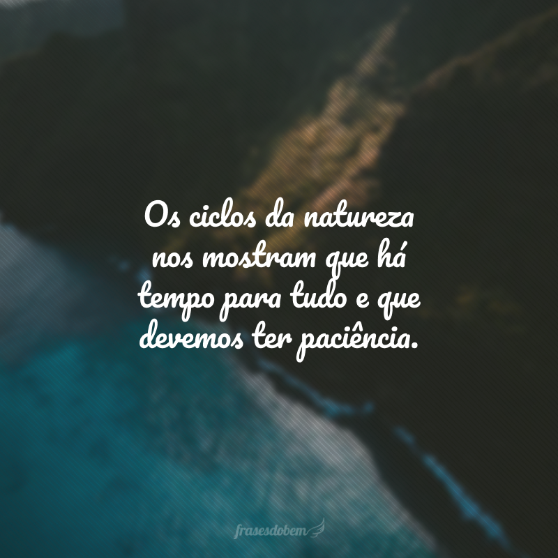 Os ciclos da natureza nos mostram que há tempo para tudo e que devemos ter paciência.