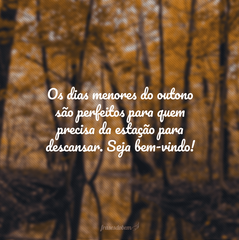 Os dias menores do outono são perfeitos para quem precisa da estação para descansar. Seja bem-vindo!