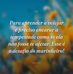 Para aprender a velejar é preciso encarar a tempestade como se ela não fosse te afetar. Esse é o desafio do marinheiro!