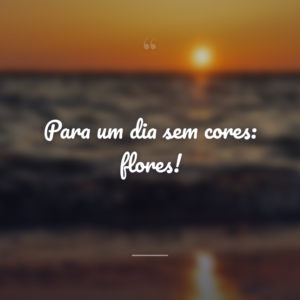 Para um dia sem cores: flores!