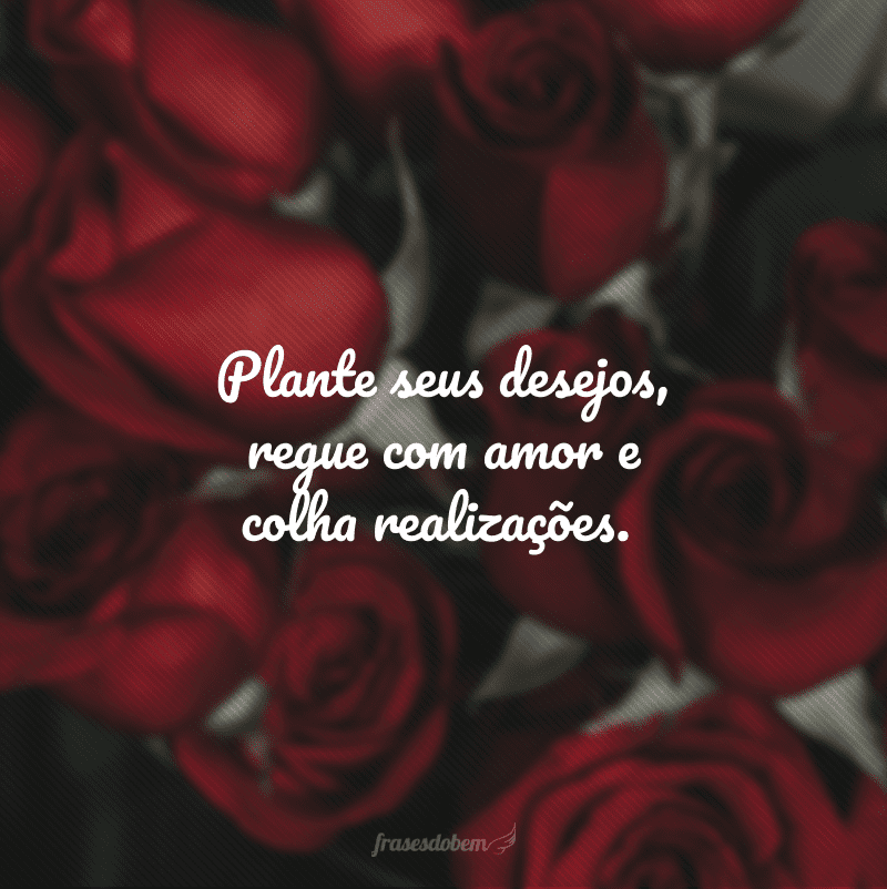 Plante seus desejos, regue com amor e colha realizações.