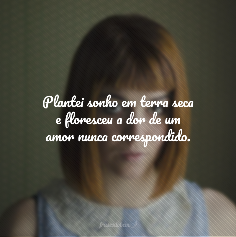 Plantei sonho em terra seca e floresceu a dor de um amor nunca correspondido. 