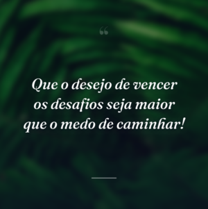 Que o desejo de vencer os desafios seja maior que o medo de caminhar!