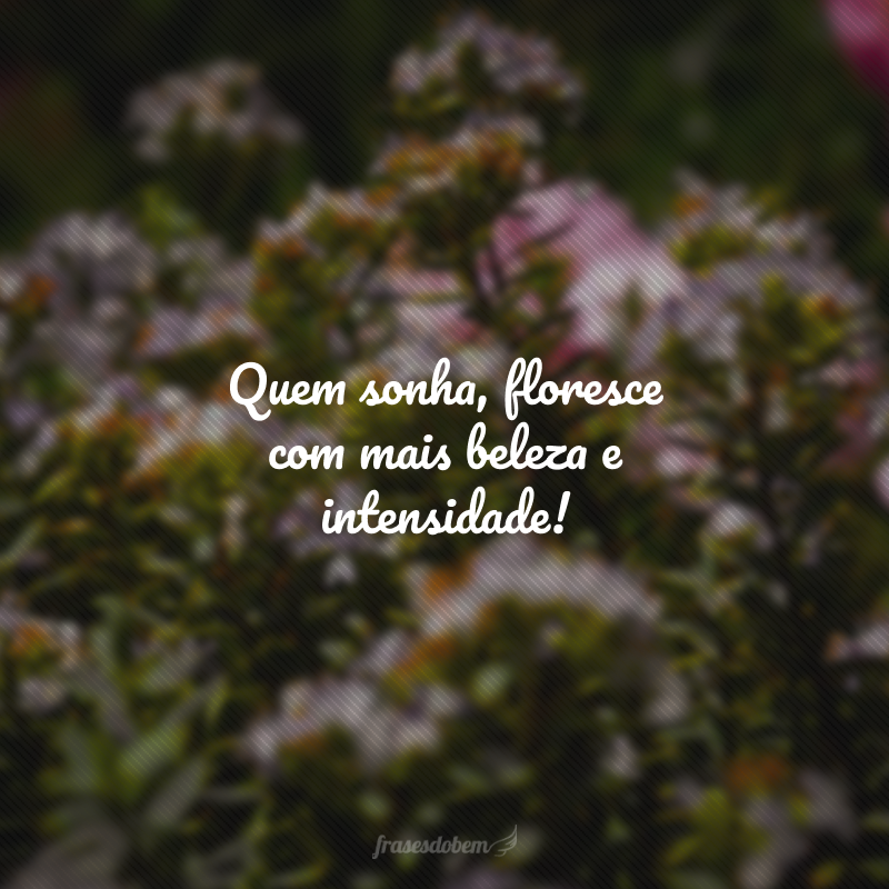 Quem sonha, floresce com mais beleza e intensidade!