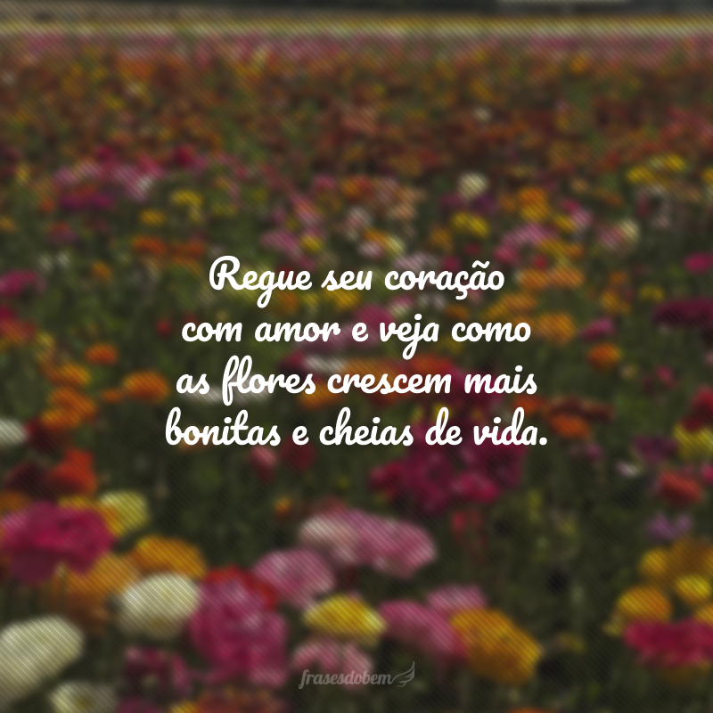 Regue seu coração com amor e veja como as flores crescem mais bonitas e cheias de vida.