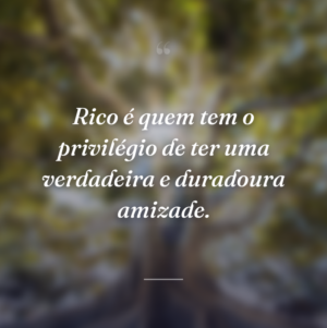Rico é quem tem o privilégio de ter uma verdadeira e duradoura amizade.
