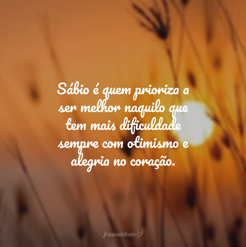 Sábio é quem prioriza a ser melhor naquilo que tem mais dificuldade sempre com otimismo e alegria no coração.