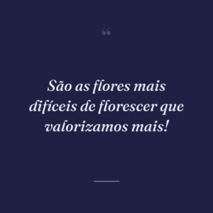São as flores mais difíceis de florescer que valorizamos mais!