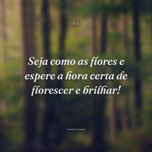 Seja como as flores e espere a hora certa de florescer e brilhar!