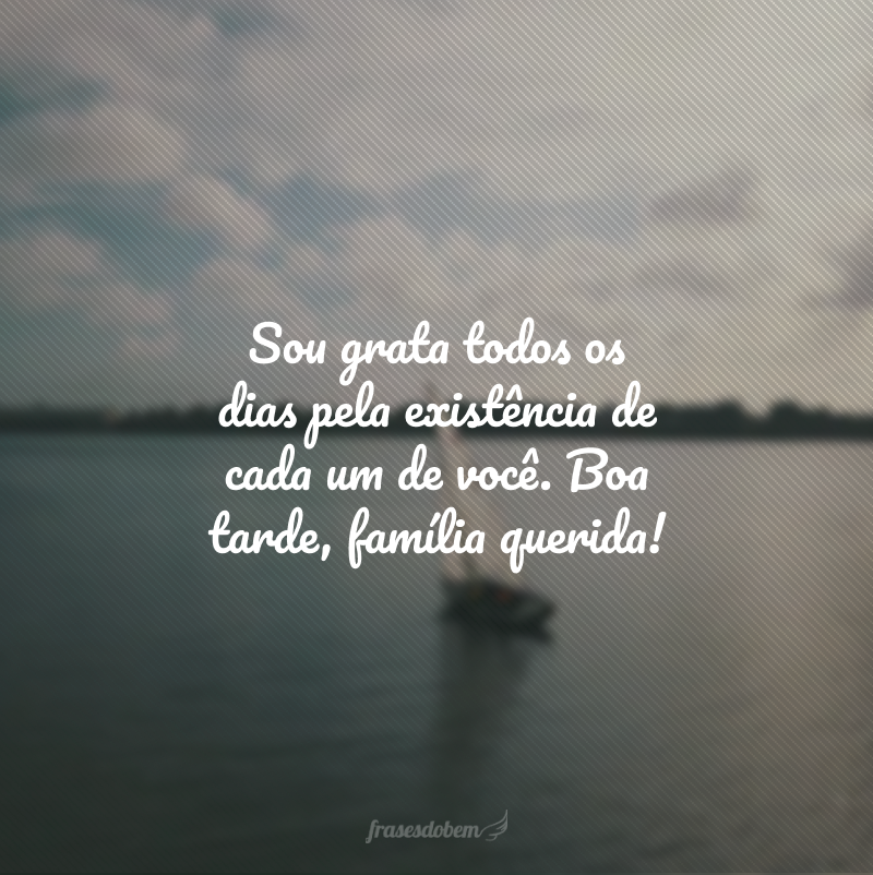 Sou grata todos os dias pela existência de cada um de você. Boa tarde, família querida!