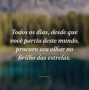 Todos os dias, desde que você partiu deste mundo, procuro seu olhar no brilho das estrelas.