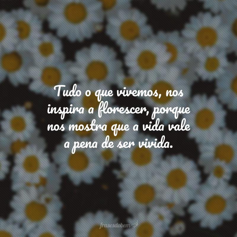 Tudo o que vivemos, nos inspira a florescer, porque nos mostra que a vida vale a pena de ser vivida.