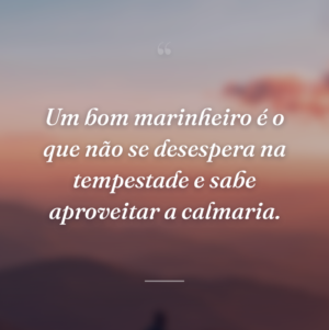 Um bom marinheiro é o que não se desespera na tempestade e sabe aproveitar a calmaria.