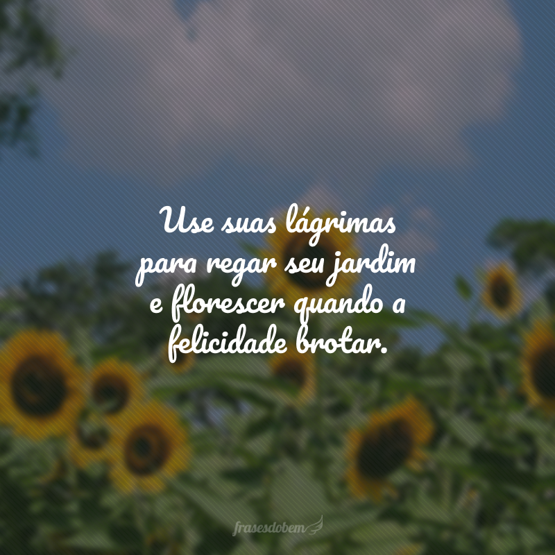 Use suas lágrimas para regar seu jardim e florescer quando a felicidade brotar.