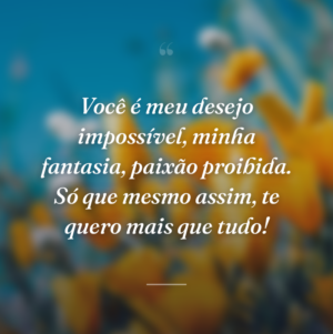 Você é meu desejo impossível, minha fantasia, paixão proibida. Só que mesmo assim, te quero mais que tudo!