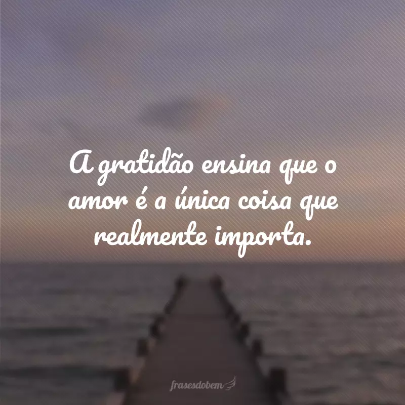 A gratidão ensina que o amor é a única coisa que realmente importa.