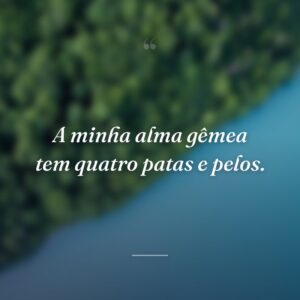 A minha alma gêmea tem quatro patas e pelos.
