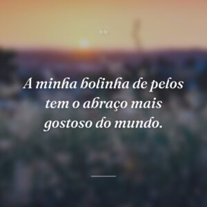 A minha bolinha de pelos tem o abraço mais gostoso do mundo.