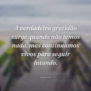 A verdadeira gratidão surge quando não temos nada, mas continuamos vivos para seguir lutando.