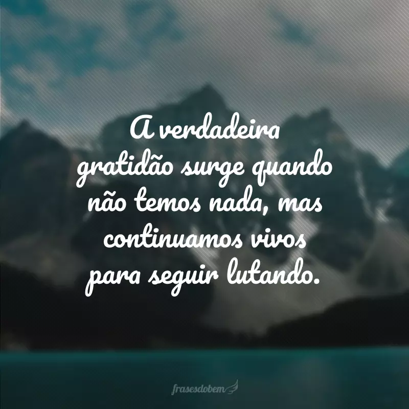 A verdadeira gratidão surge quando não temos nada, mas continuamos vivos para seguir lutando.