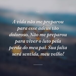 A vida não me preparou para esse adeus tão doloroso. Não me preparou para viver o luto pela perda do meu pai. Sua falta será sentida, meu velho!