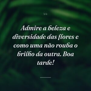 Admire a beleza e diversidade das flores e como uma não rouba o brilho da outra. Boa tarde!