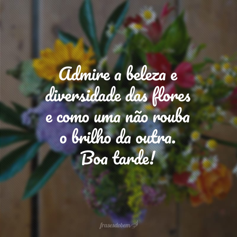 Admire a beleza e diversidade das flores e como uma não rouba o brilho da outra. Boa tarde!