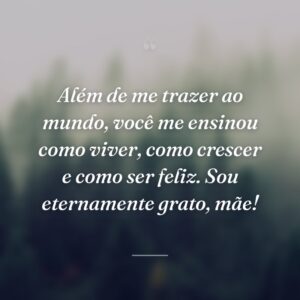 Além de me trazer ao mundo, você me ensinou como viver, como crescer e como ser feliz. Sou eternamente grato, mãe!