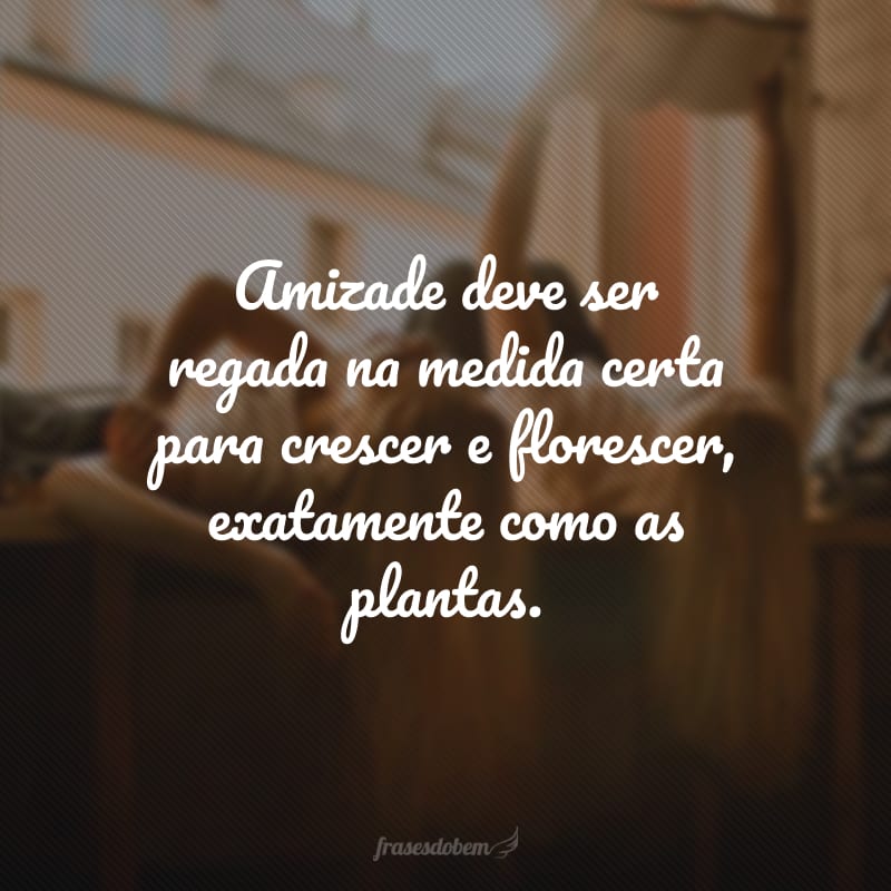 Amizade deve ser regada na medida certa para crescer e florescer, exatamente como as plantas.