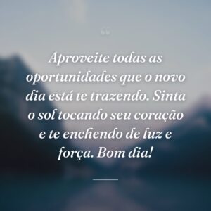 Aproveite todas as oportunidades que o novo dia está te trazendo. Sinta o sol tocando seu coração e te enchendo de luz e força. Bom dia!