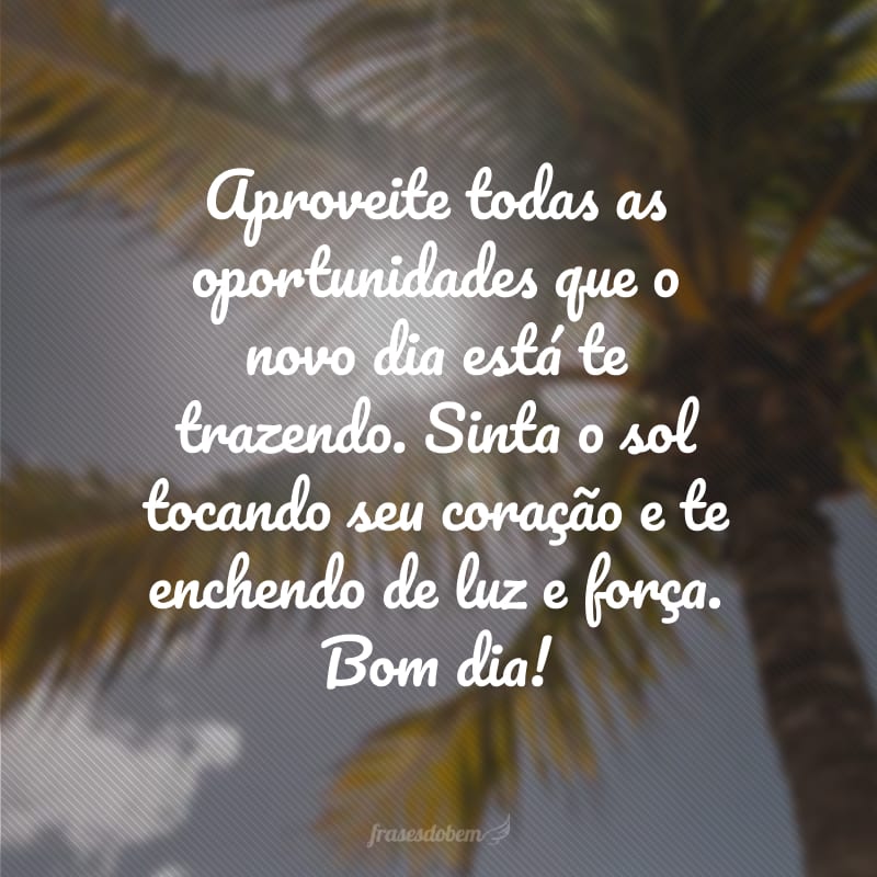 Aproveite todas as oportunidades que o novo dia está te trazendo. Sinta o sol tocando seu coração e te enchendo de luz e força. Bom dia!