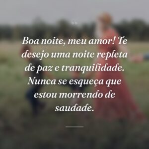 Boa noite, meu amor! Te desejo uma noite repleta de paz e tranquilidade. Nunca se esqueça que estou morrendo de saudade.