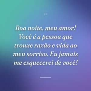 Boa noite, meu amor! Você é a pessoa que trouxe razão e vida ao meu sorriso. Eu jamais me esquecerei de você!