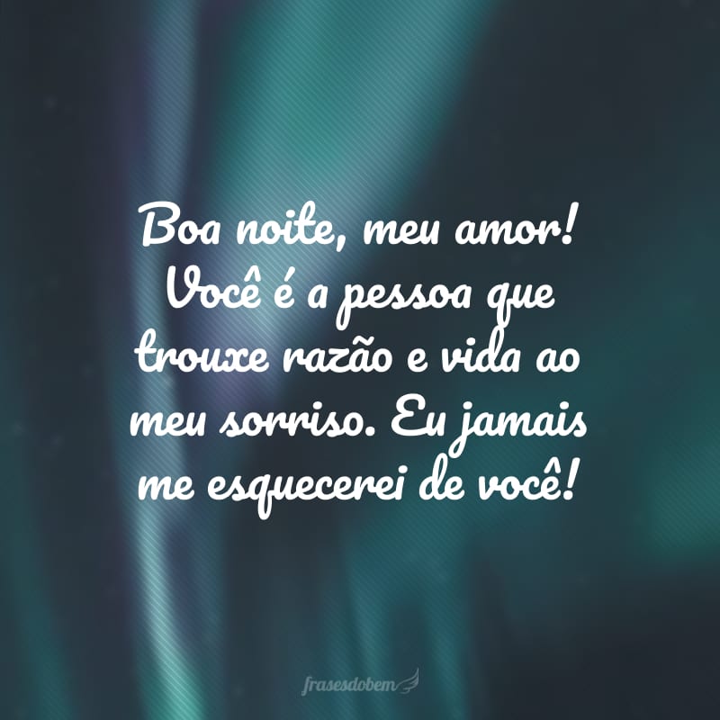 Boa noite, meu amor! Você é a pessoa que trouxe razão e vida ao meu sorriso. Eu jamais me esquecerei de você!